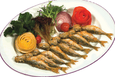 İstavrit